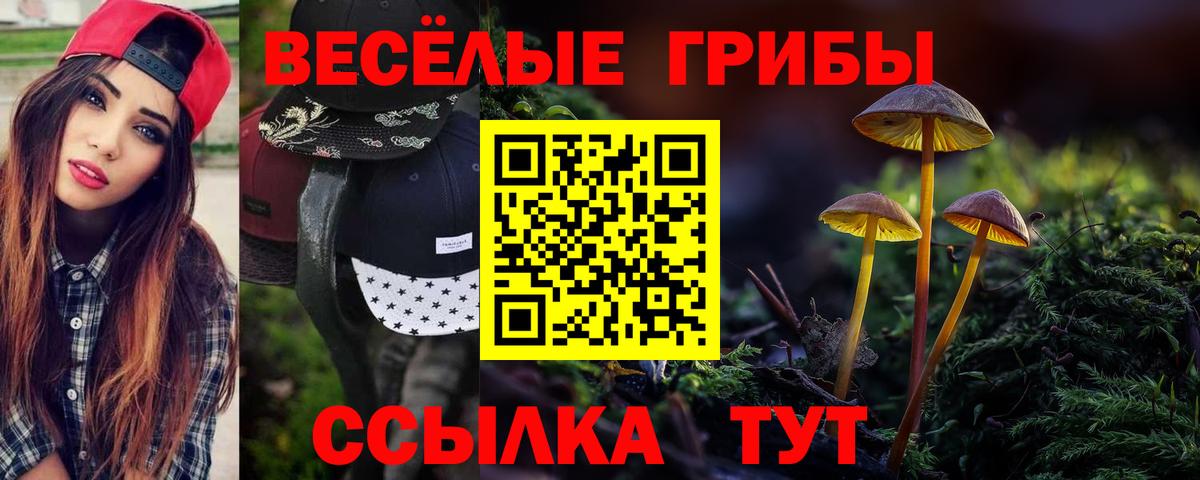 Псилоцибиновые грибы Cubensis Волоколамск