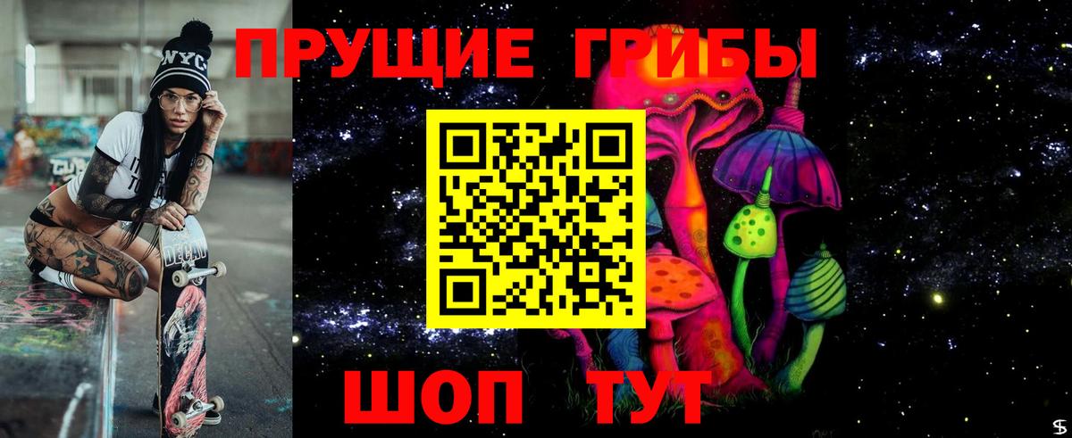 Волоколамск  Псилоцибиновые грибы мицелий  Вход с VPN 